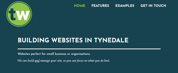 The header section of the Tynedale Websites website.